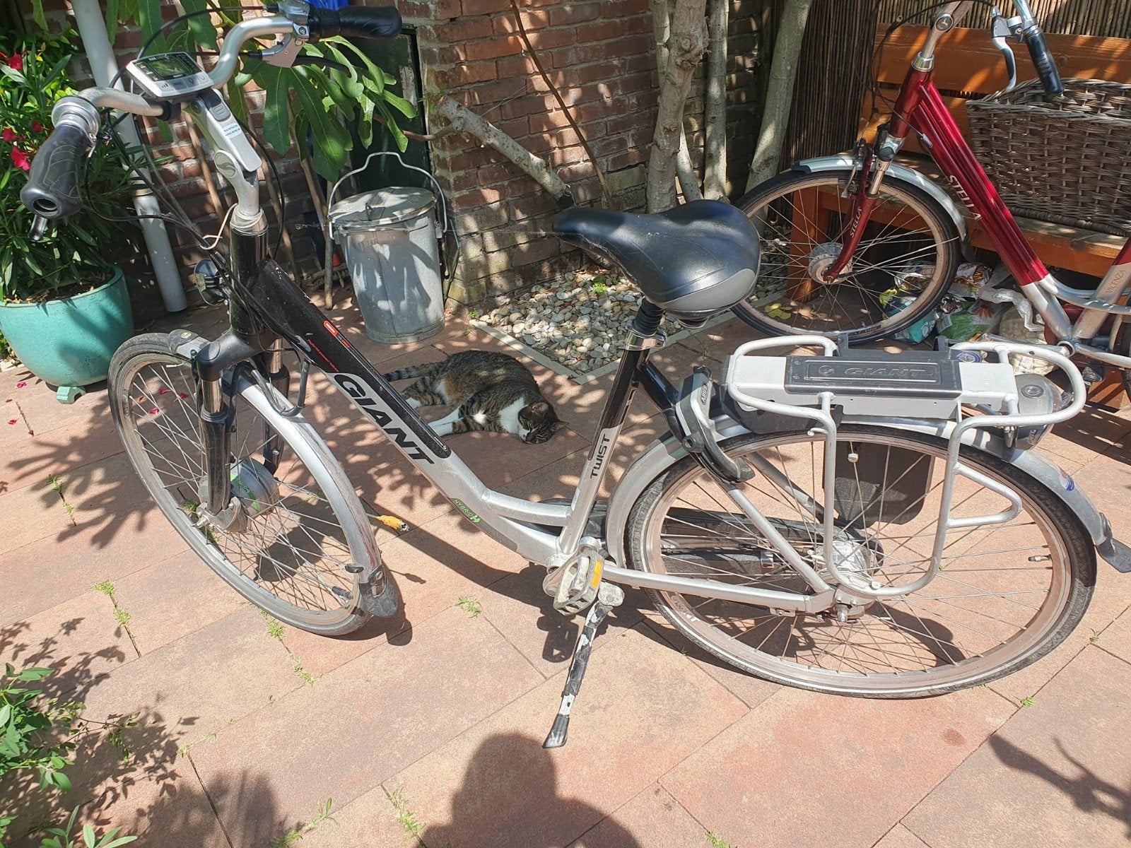 Giant Twist E-bike - Geen accu/oplader, Ophalen, Gebruikt, Minder dan 30 km per accu