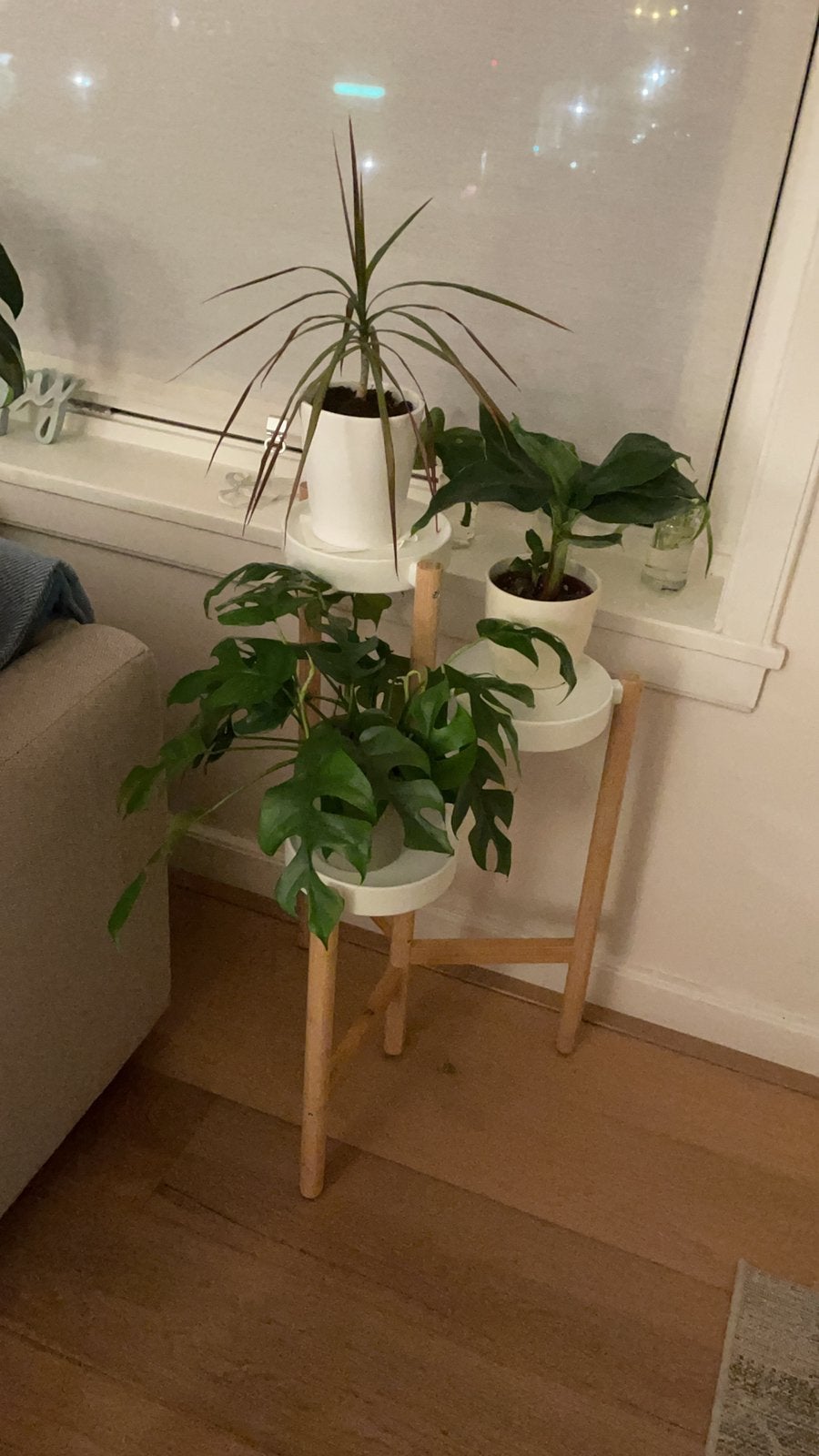 Ikea plant stand, Ophalen, Halfschaduw, Minder dan 100 cm