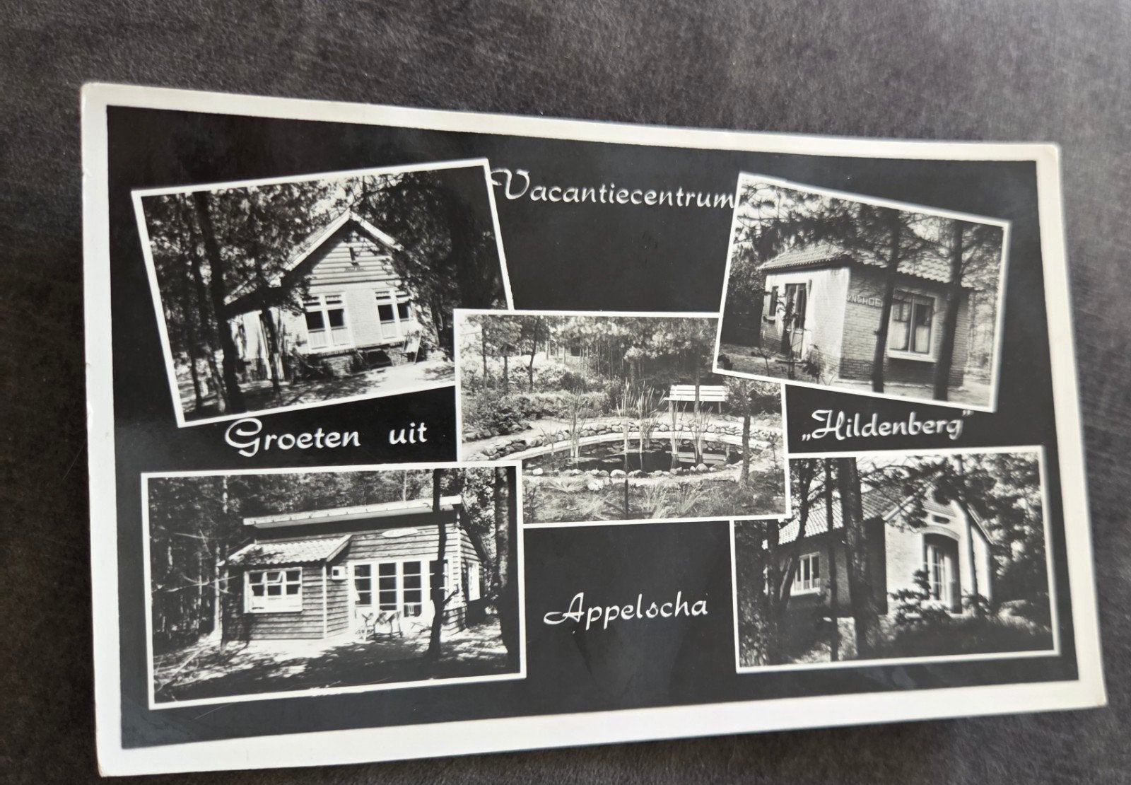 Vakantiecentrum Hildenbergh Appelscha, Verzenden, 1940 tot 1960, Gelopen, Friesland