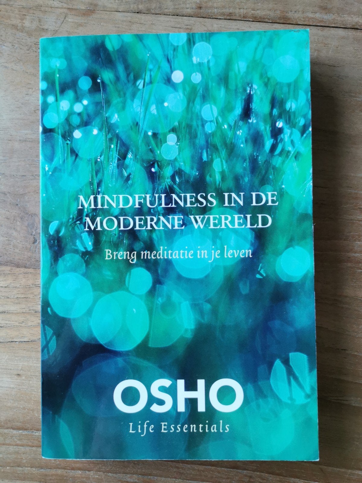 Mindfulness in de moderne wereld, Meditatie of Yoga, Ophalen of Verzenden, Zo goed als nieuw, Instructieboek