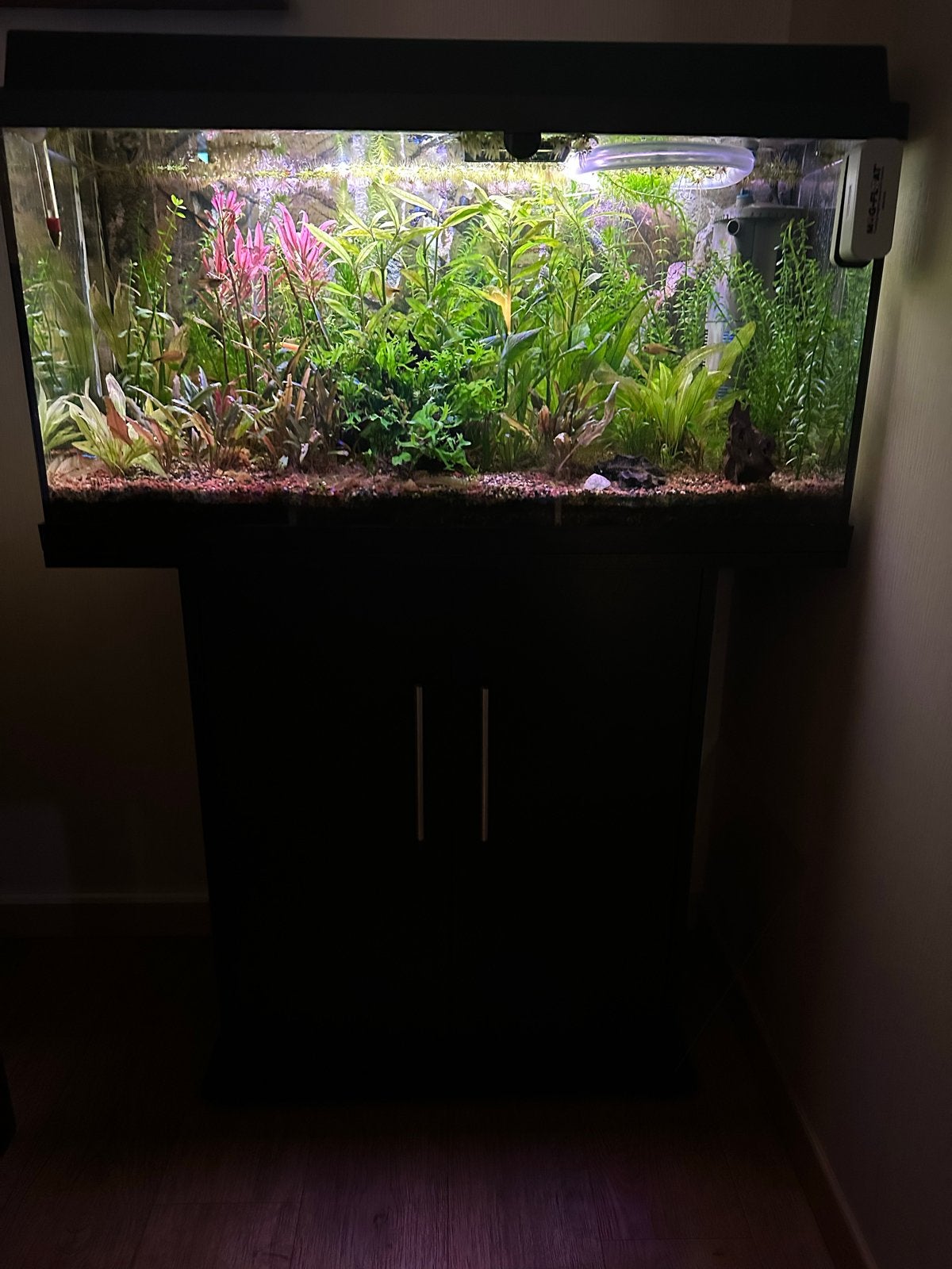Complete aquarium 80*38*34 cm, Dieren en Toebehoren, Vissen | Aquaria en Toebehoren, Ophalen, Gevuld zoetwateraquarium, Zo goed als nieuw