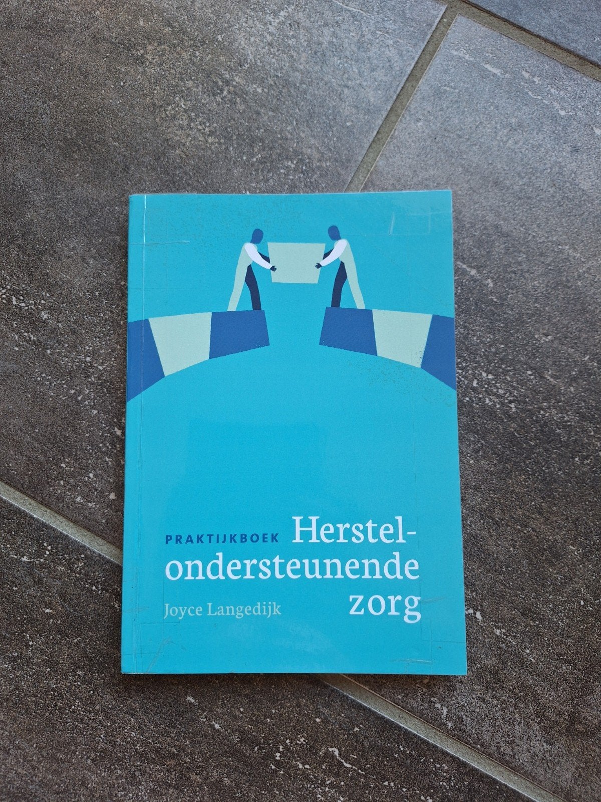 Praktijkboek Herstelondersteunende Zorg - Joyce Langedijk, Ophalen of Verzenden, Zo goed als nieuw, HBO, Joyce Langedijk
