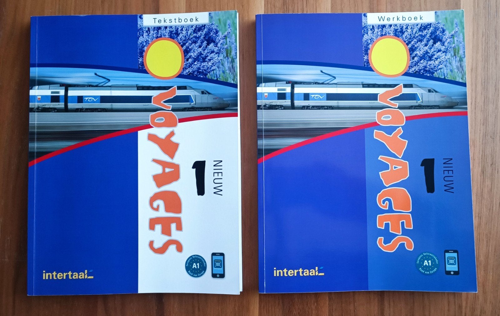 Voyages 1 Nieuw Tekstboek en Werkboek Frans Intertaal A1, Boeken, Frans, Ophalen of Verzenden, Zo goed als nieuw, Anne Guillaine André, Krystelle Jambon, Jacqueline Sword