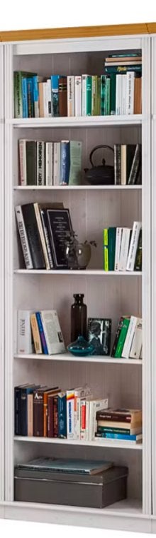 Boekenkast, Huis en Inrichting, Kasten | Boekenkasten, Ophalen, 200 cm of meer, Nieuw, 50 tot 100 cm