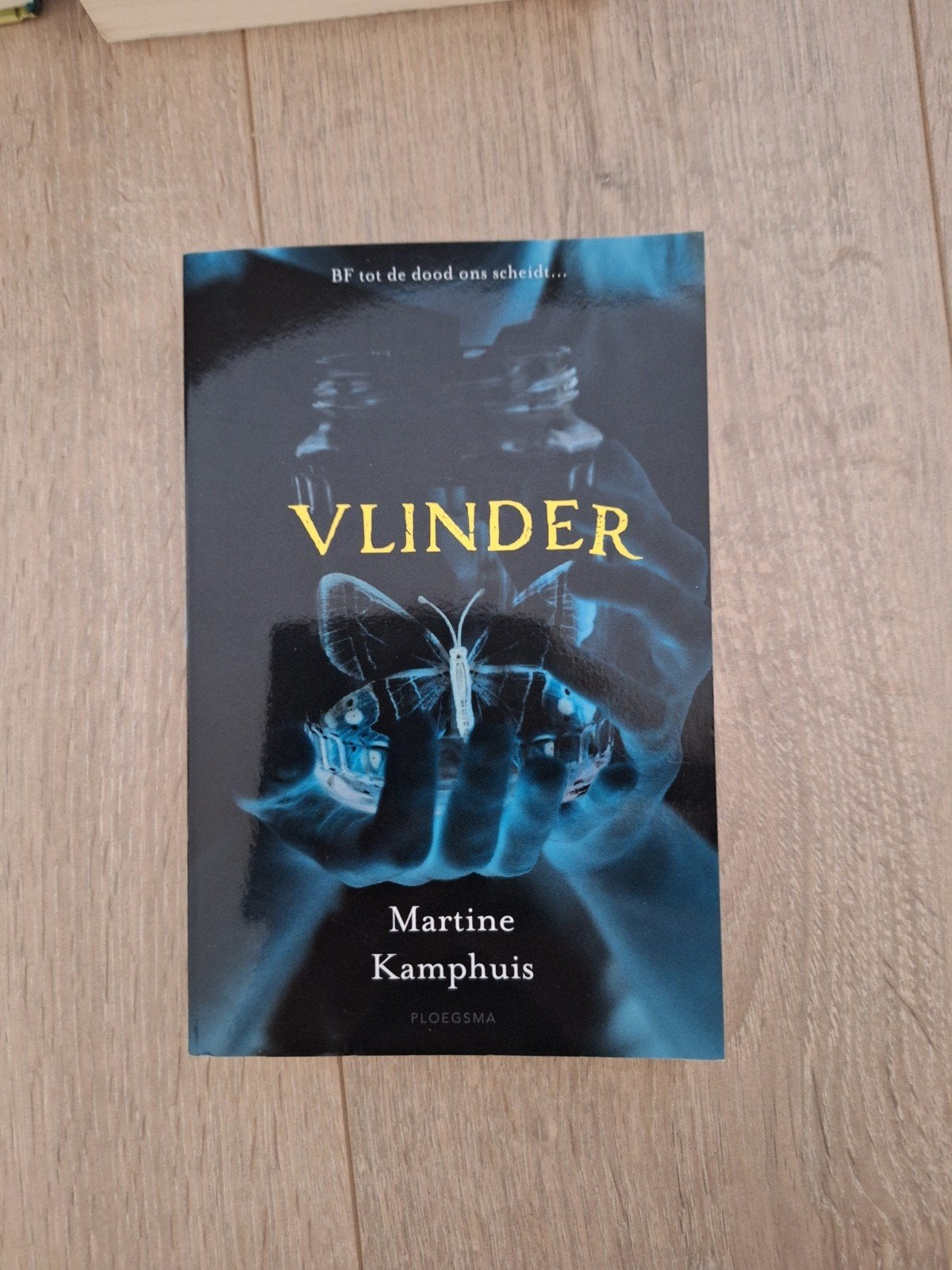 Vlinder, Ophalen of Verzenden, Zo goed als nieuw