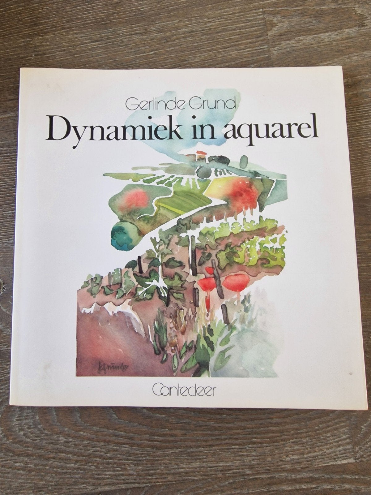 Dynamiek in aquarel - Gerlinde Grund, Ophalen, Gelezen