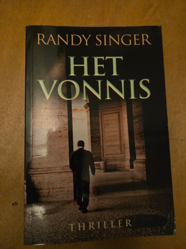 Randy Singer - Het Vonnis (Thriller), Boeken, Thrillers, Gelezen, Europa overig, Ophalen of Verzenden