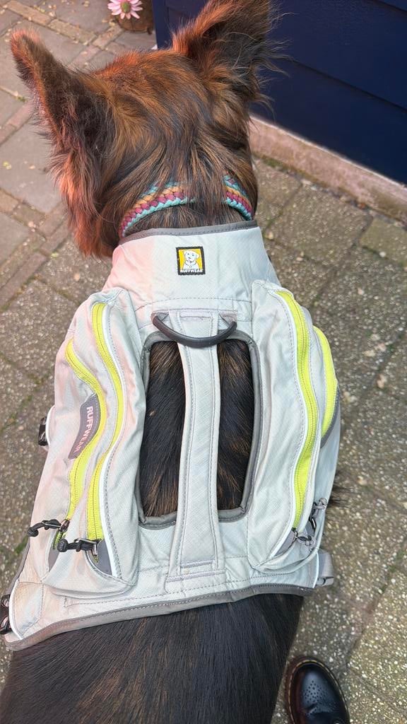 Ruffwear hondentuig, Ophalen, Zo goed als nieuw, Hondenjas