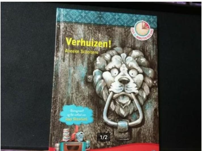 Anneke Scholtens, Verhuizen!, Boeken, Ophalen of Verzenden, Zo goed als nieuw