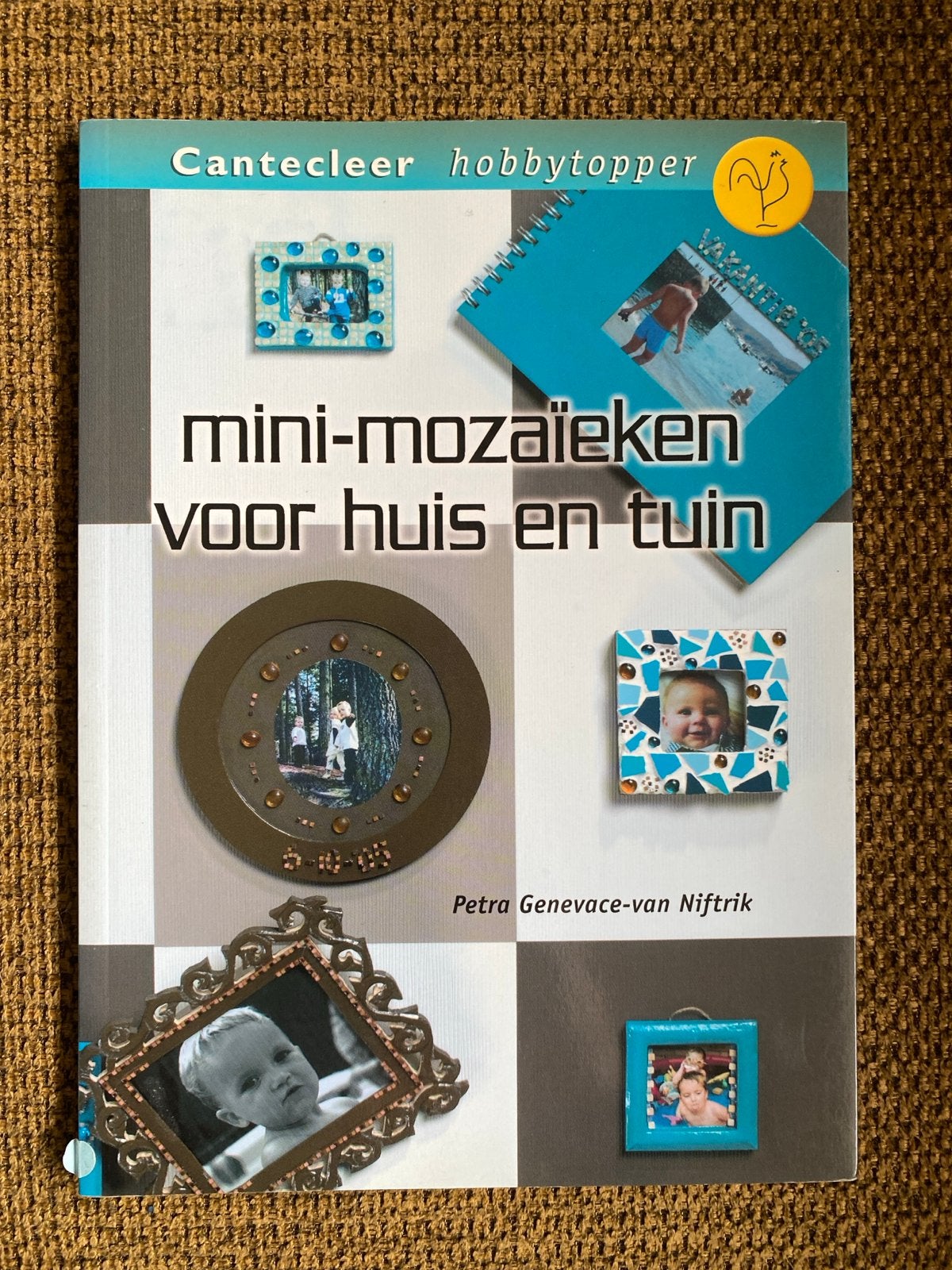 P. van Genevace-Niftrik - Mini-mozaïeken voor huis en tuin, Boeken, Ophalen of Verzenden, Zo goed als nieuw, P. van Genevace-Niftrik