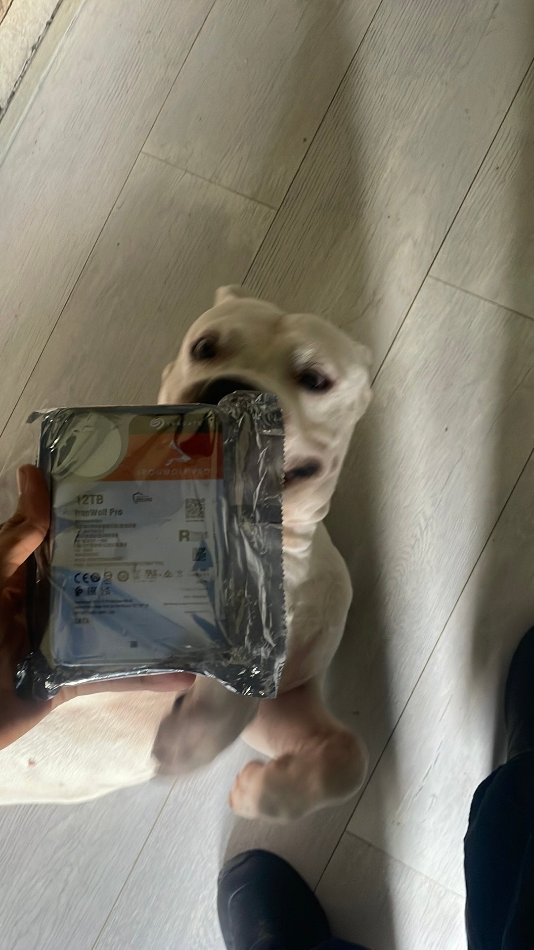 Seagate IronWolf Pro 12TB HDD/Harde schijf, Ophalen, Intern, 12TB, HDD