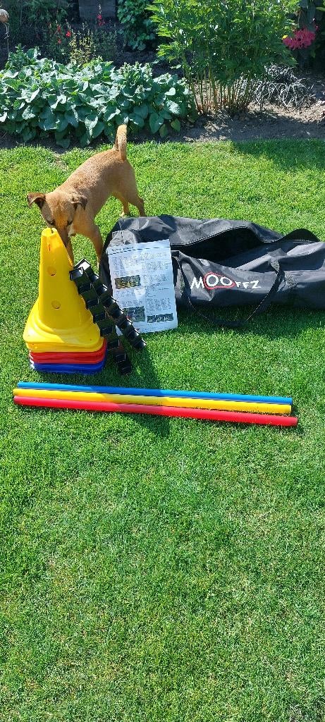 Honden speelset, Dieren en Toebehoren, Ophalen, Zo goed als nieuw, Behendigheidspeelgoed