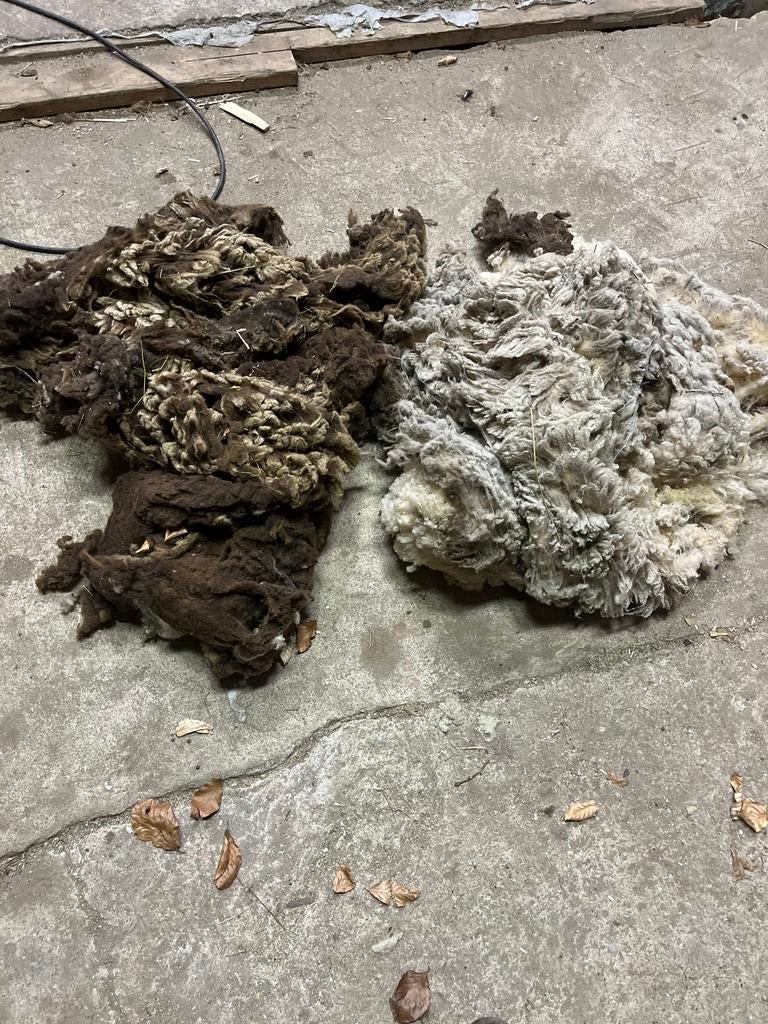 Onbewerkte Shetland schapenwol - diverse kleuren, Ophalen, Nieuw, Overige kleuren, Wol