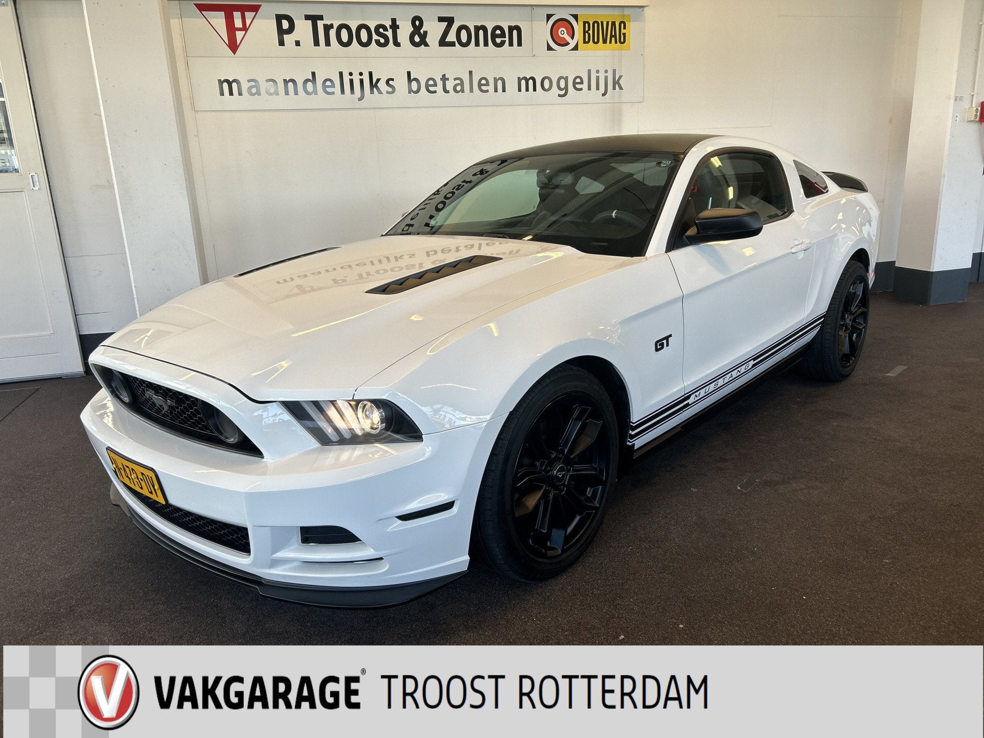 Ford USA Mustang 4.6 V8 GT Bullit Handgeschakeld | Cruise co, Achterwielaandrijving, Gebruikt, Wit, Leder