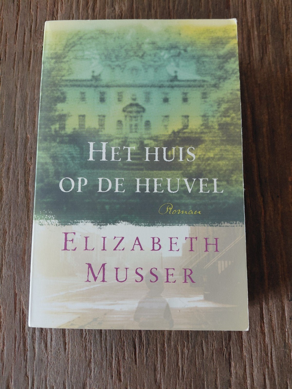 Elizabeth Musser - Het huis op de heuvel, Ophalen of Verzenden, Zo goed als nieuw, Elizabeth Musser