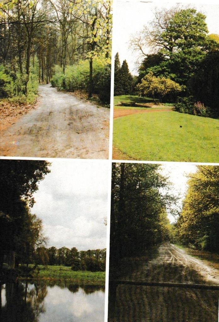 Dieren               157, Ophalen of Verzenden, Voor 1920, Gelderland