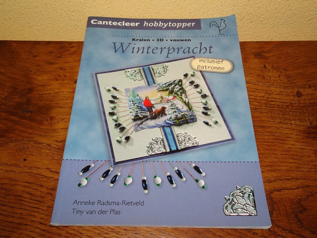 Winterpracht : Kralen-3D-vouwen inclusief patronen, Ophalen of Verzenden, Zo goed als nieuw, Overige thema's, Pons of Mal