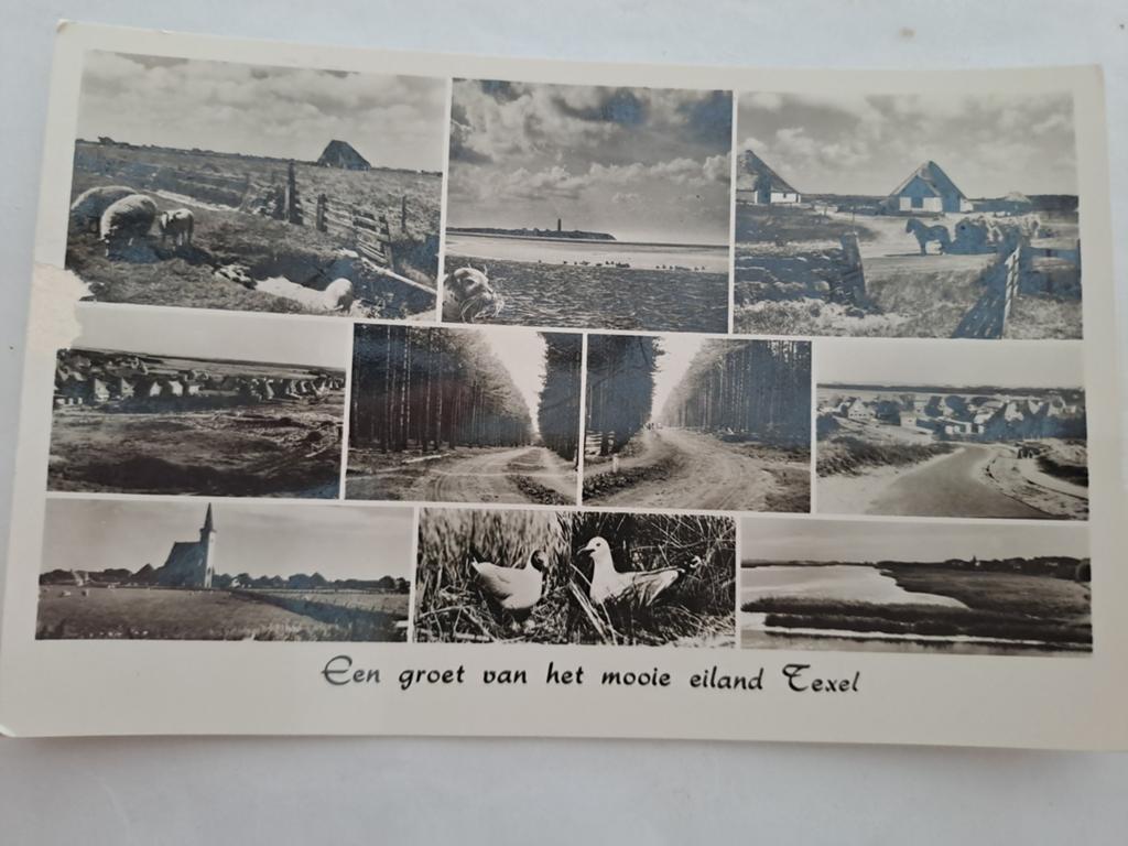 Texel, Ophalen of Verzenden, Waddeneilanden