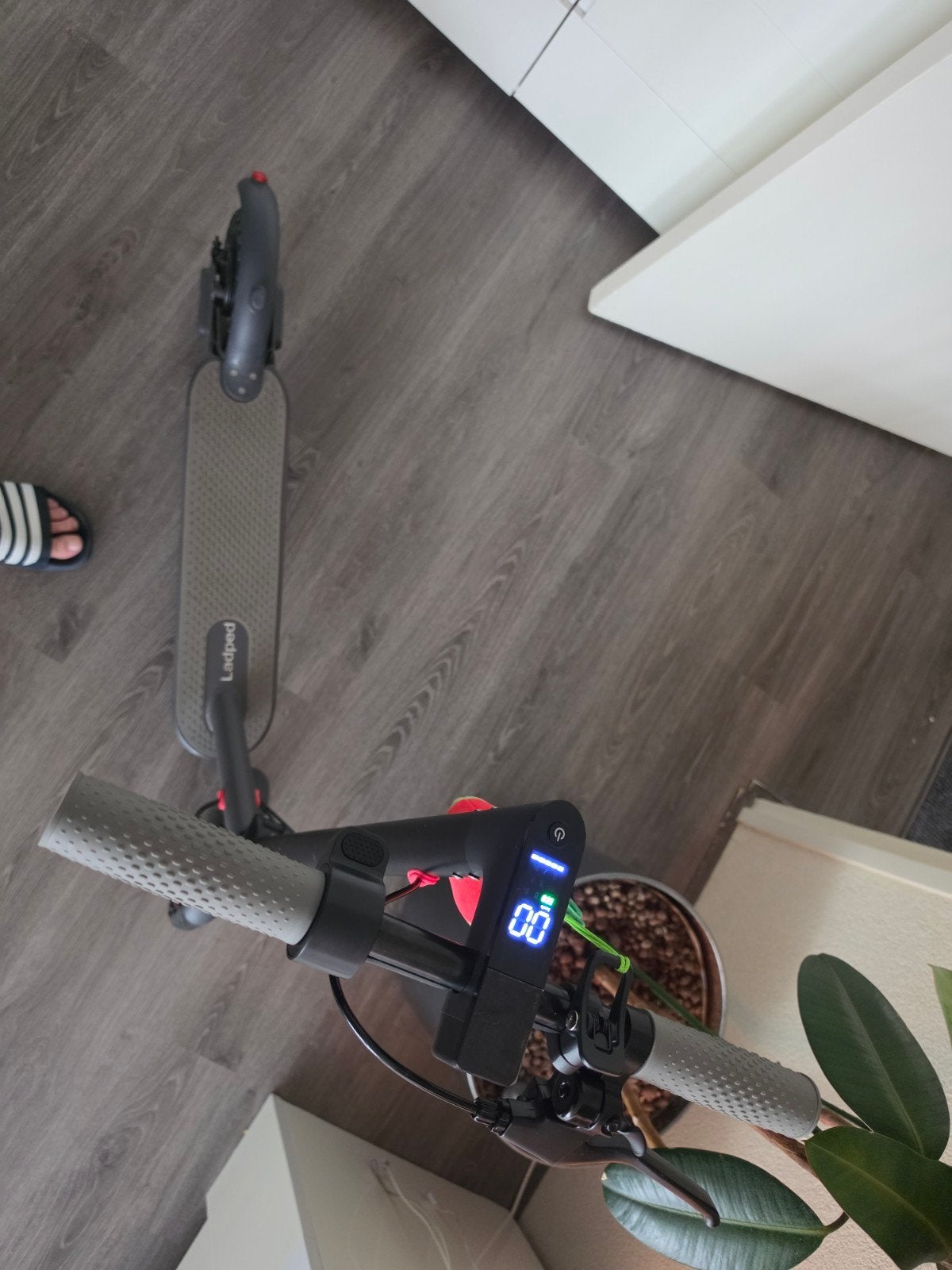 Elektrische step 30 km/u  nog met garantie, Ophalen, Zo goed als nieuw, Elektrische step (E-scooter), Onbekend