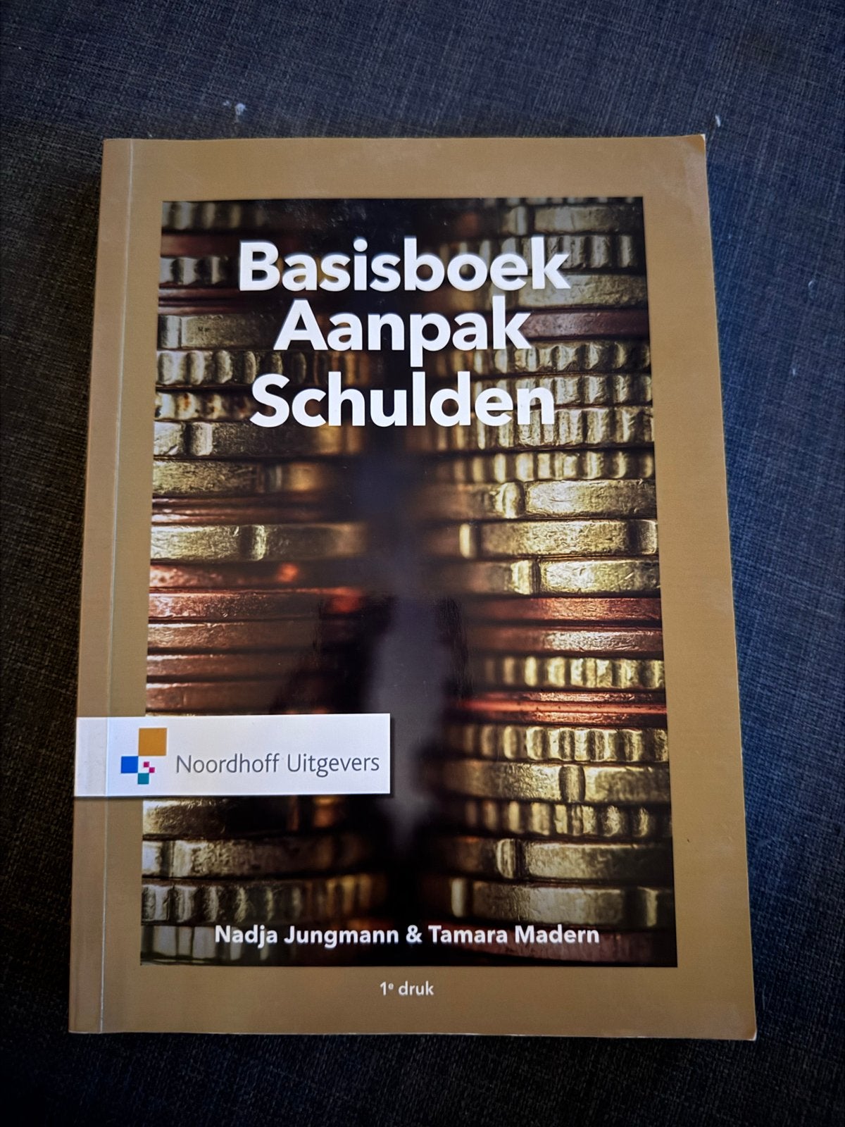 Nadja Jungmann - Basisboek aanpak schulden, Gelezen, Sociale wetenschap, Ophalen of Verzenden, Nadja Jungmann; Tamara Madern