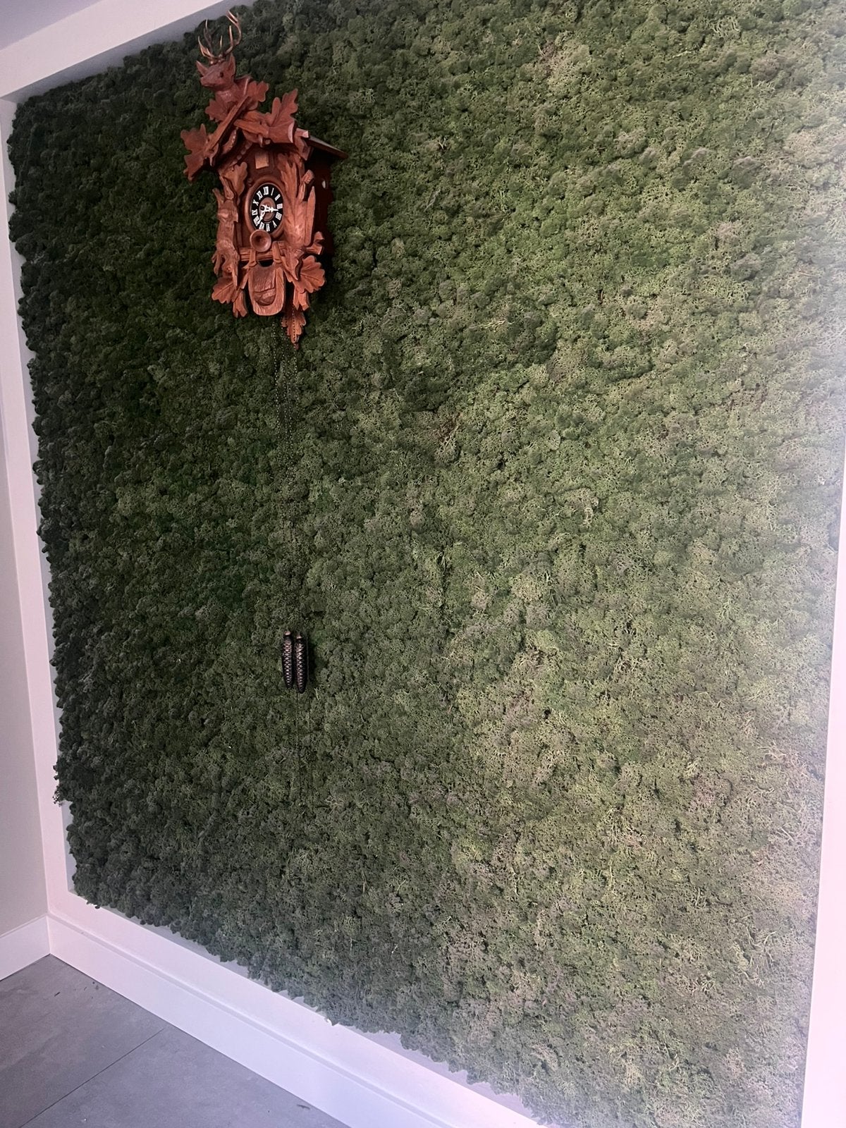 Mos voor aankleding spoorbaan (gratis), Gebruikt, Natuur, Gelijkstroom of Wisselstroom, Ophalen