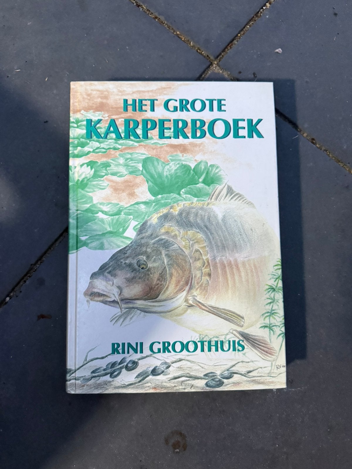 R. Groothuis - Het grote karperboek, Watersport en Hengelsport, Ophalen of Verzenden, Zo goed als nieuw, R. Groothuis