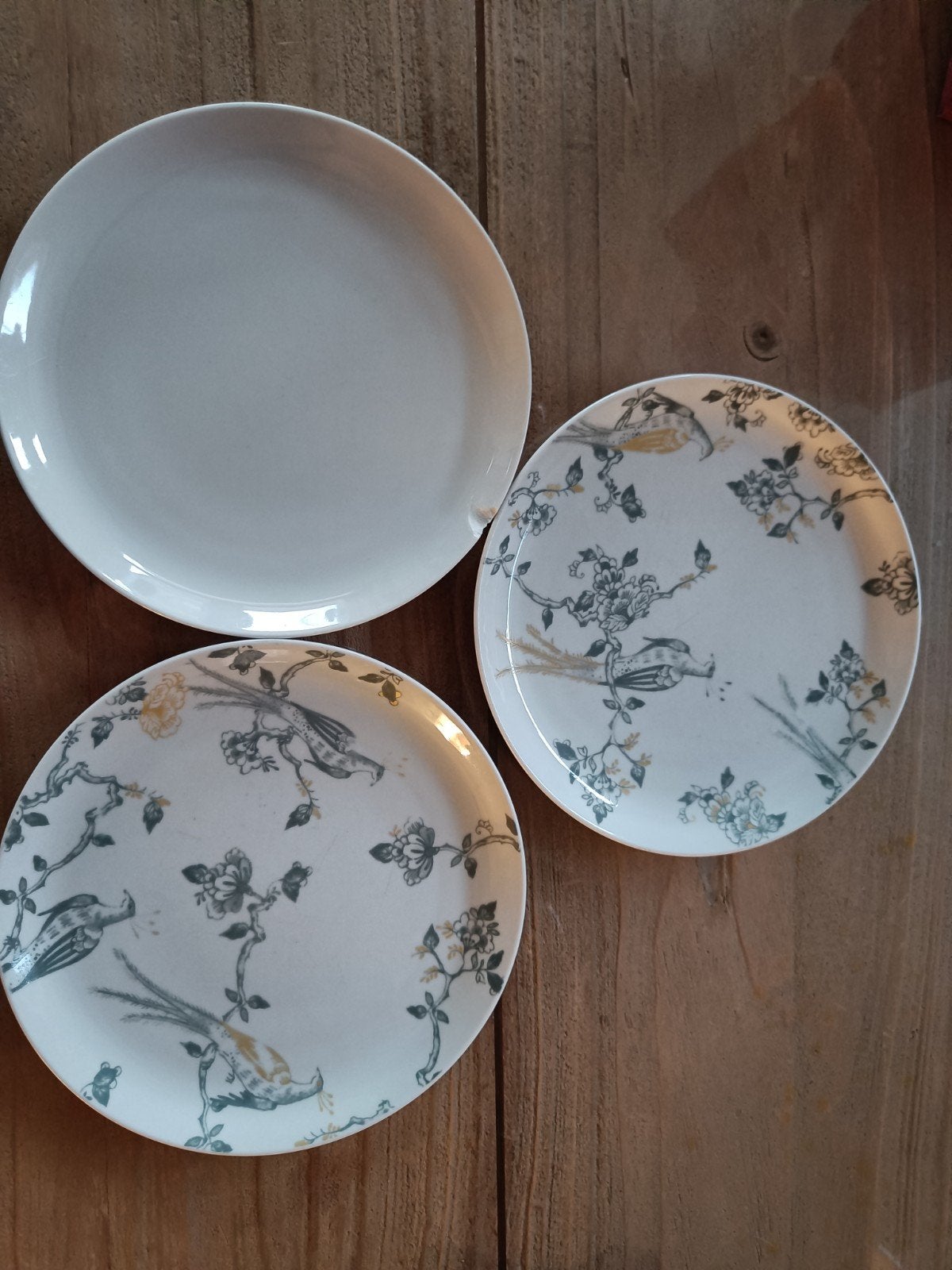 Villeroy & Boch Vivo ontbijtborden met vogelmotief (3 stuks), Gebruikt, Ophalen of Verzenden, Bord(en), Overige stijlen