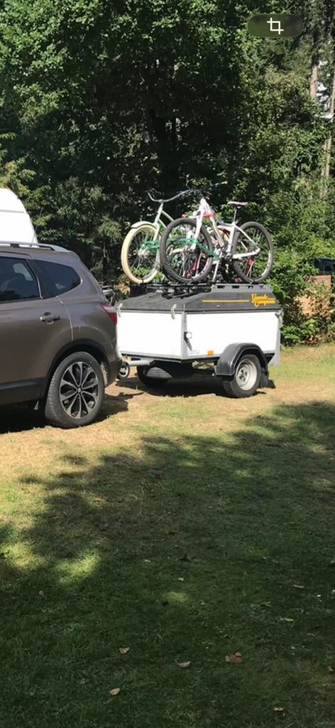 Saris Grande Campioni RT500 met fietsendragers, Ophalen of Verzenden, Zo goed als nieuw
