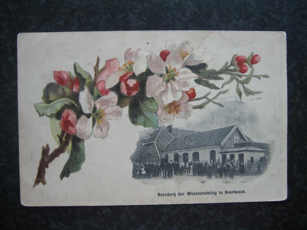 NEERBOSCH weesinrichting  Boerderij, Verzamelen, Ansichtkaarten | Nederland, Ophalen of Verzenden, Voor 1920, Gelderland