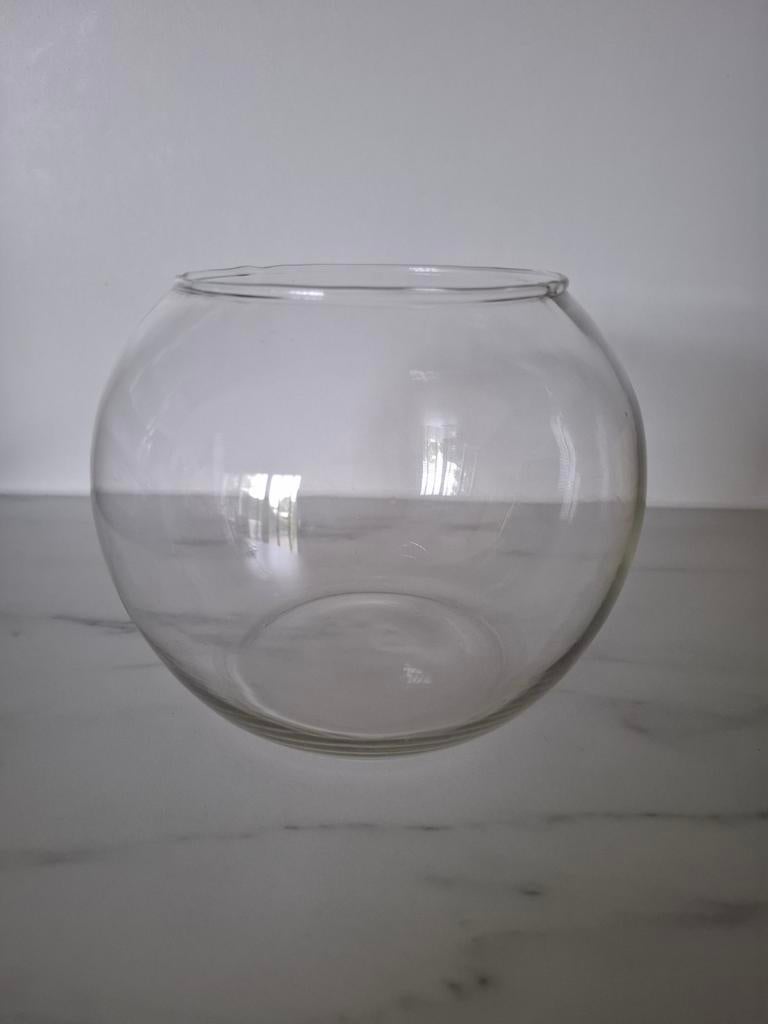 GRATIS Glazen vaas/teranium, Ophalen, Overige kleuren, Minder dan 50 cm, Glas