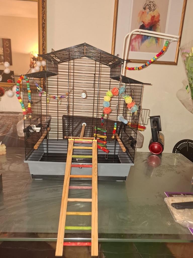 Vogels kooitje, Ophalen, Zo goed als nieuw, Metaal, Vogelkooi