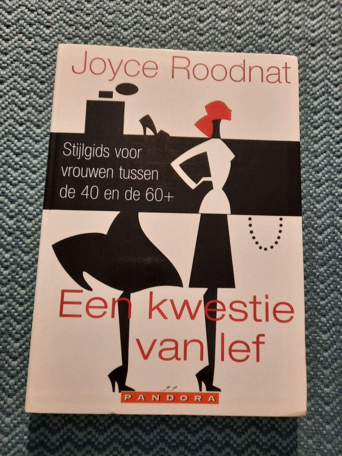 Joyce Roodnat - Een kwestie van lef (Stijlgids), Ophalen of Verzenden, Nieuw, Joyce Roodnat