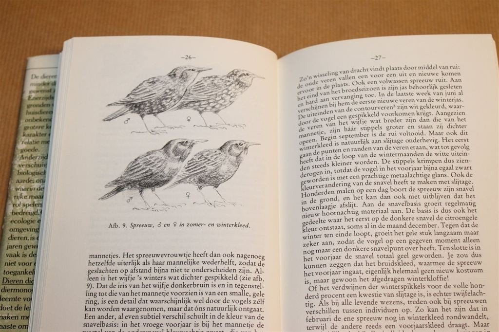 De Spreeuw — Leven en Gedrag van een Bekende Vogel, Ophalen of Verzenden, Gelezen, Vogels
