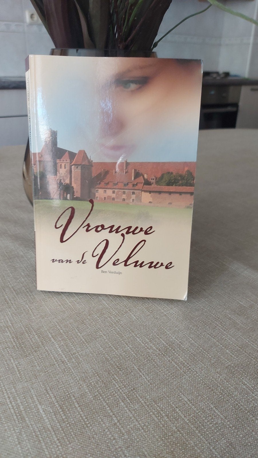 Vrouwe van de Veluwe - Ben Verduijn (Historische Roman), Boeken, Ophalen of Verzenden, Gelezen, Ben Verduijn, Nederland