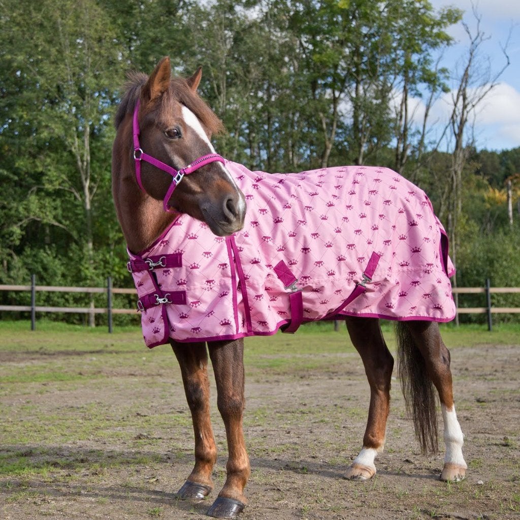 Nieuw Horzepony regendeken Roze 0 gram maat 85/125 cm, Shetlander/Mini, Overige merken, ., Nieuw