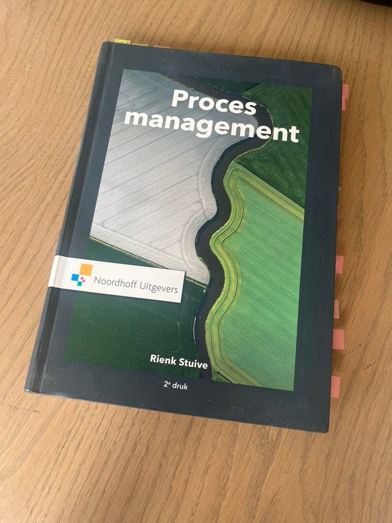 Rienk Stuive - Procesmanagement, Boeken, Sociale wetenschap, Rienk Stuive, Ophalen of Verzenden, Zo goed als nieuw