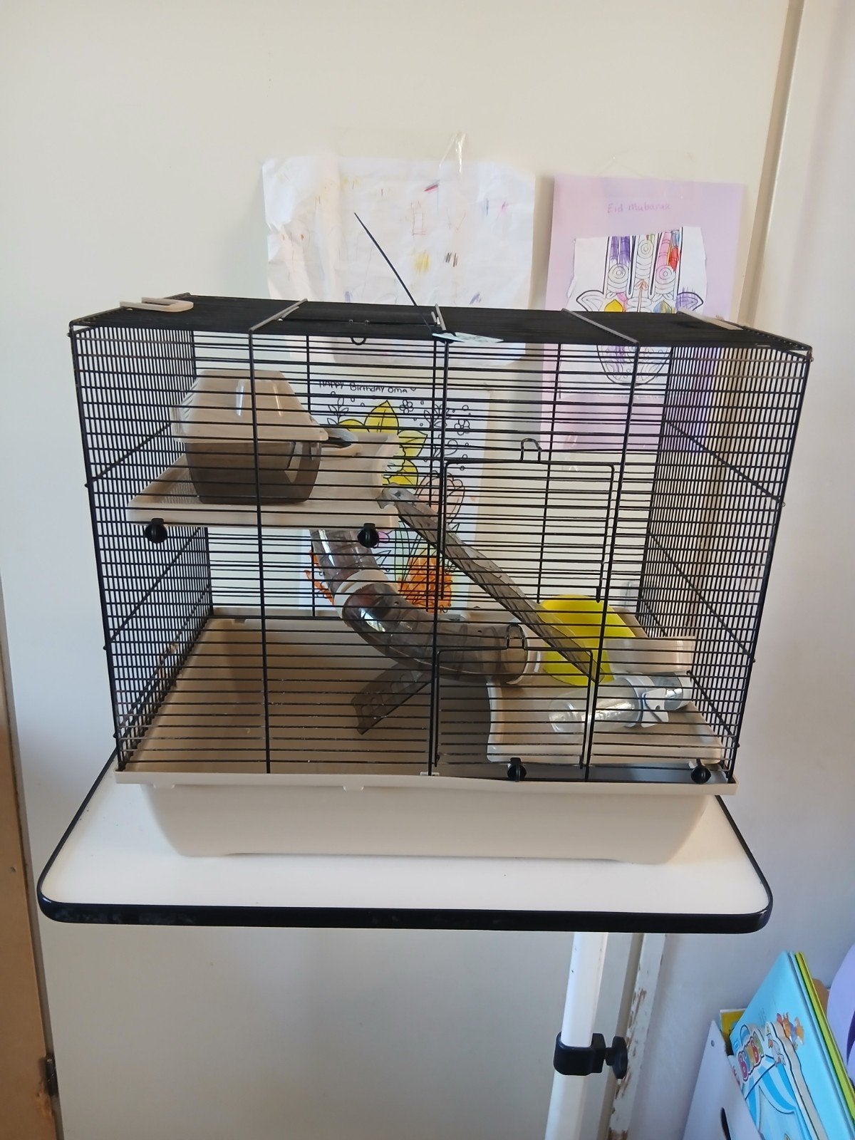 Leuke hamster kooi nr 624, Dieren en Toebehoren, Minder dan 60 cm, Kooi, Minder dan 75 cm, Ophalen of Verzenden