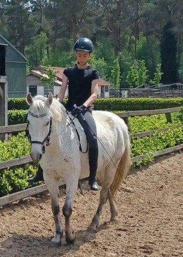 Verzorgpaard/pony gezocht, Ophalen