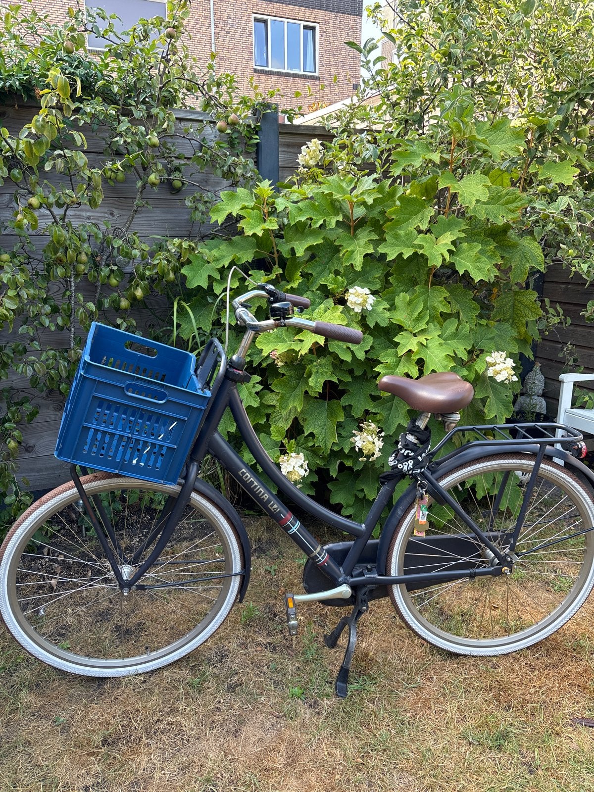 Cortina U4 Transportfiets Dames - 3 versnellingen, Terugtraprem, Gebruikt, Versnellingen, 50 tot 53 cm