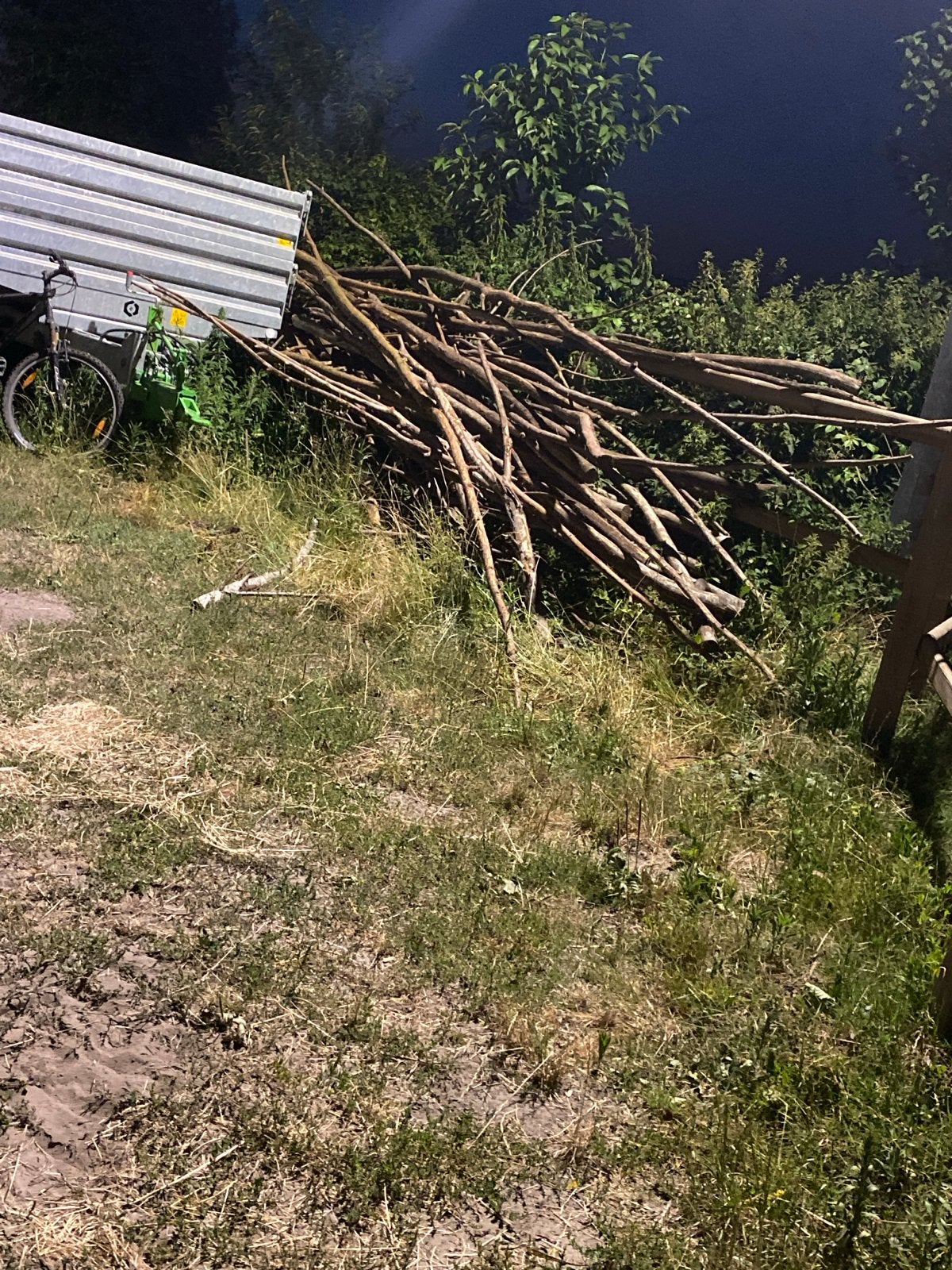 Gratis takken van schietwilgen op te halen, 3 tot 6 m³, Ophalen of Verzenden, Overige houtsoorten, Takken