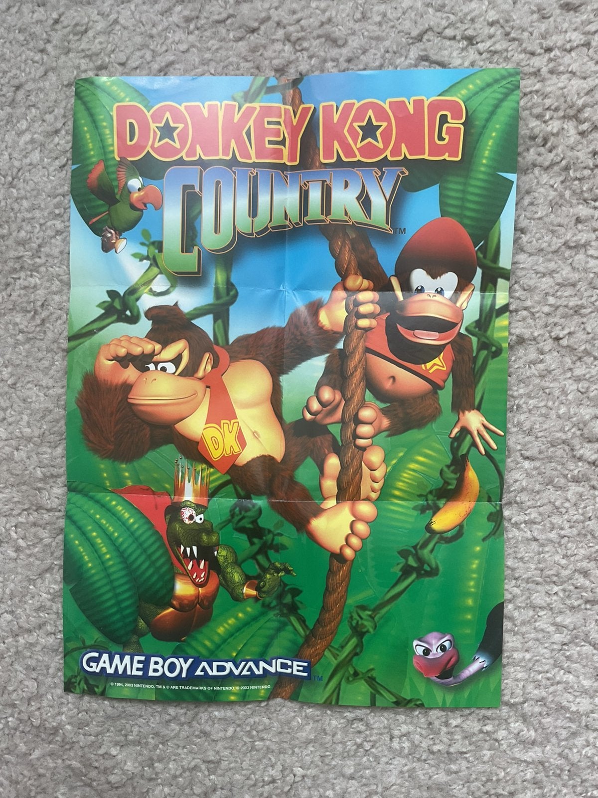 Donkey kong country mini poster, Ophalen of Verzenden, Zo goed als nieuw, Overige modellen