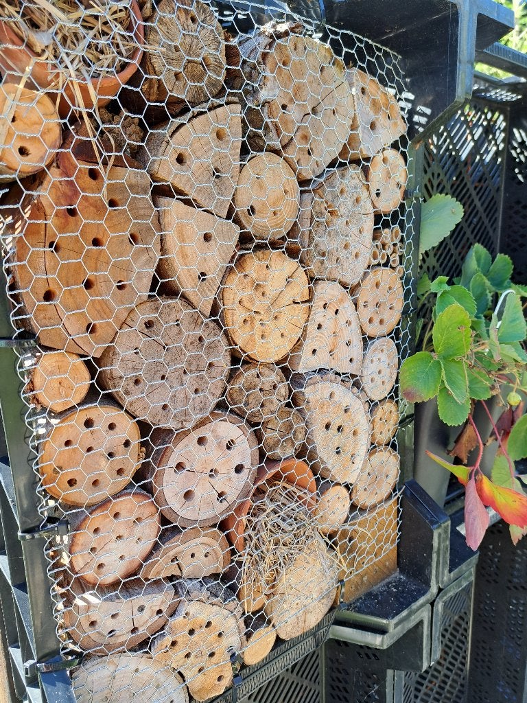 Veenmanskisten  een creatieve afscheiding of insectenhotel, Ophalen, Kunststof, Gebruikt, Minder dan 3 meter
