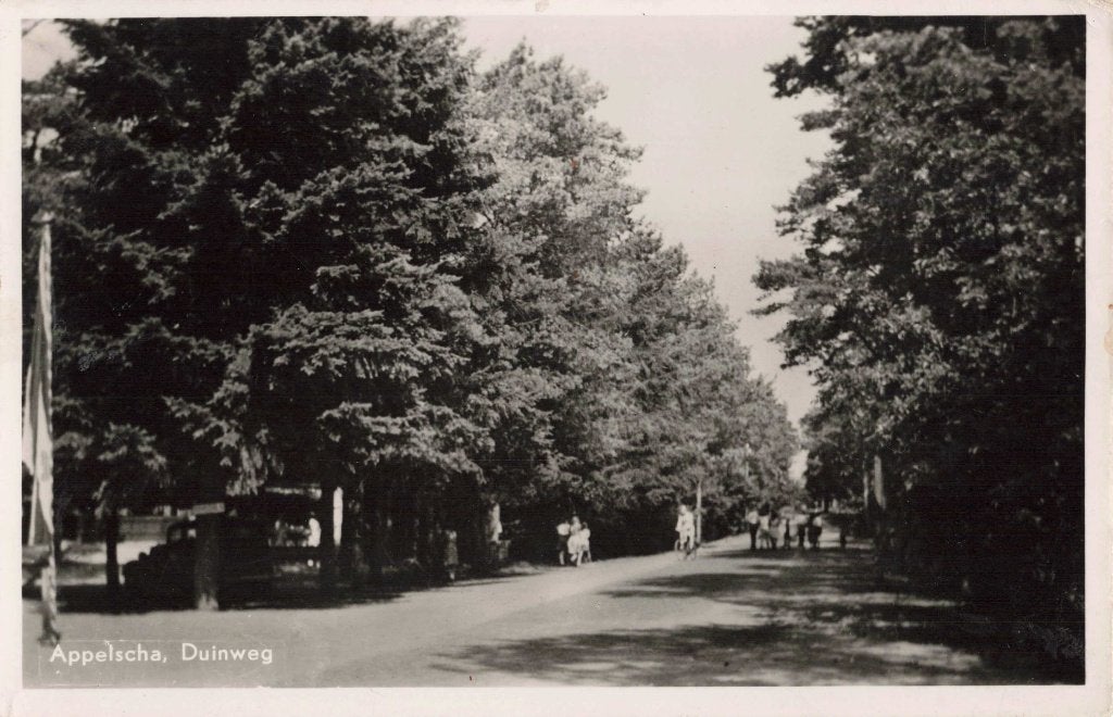 Appelscha Duinweg L3055, Ophalen, 1940 tot 1960, Gelopen, Friesland
