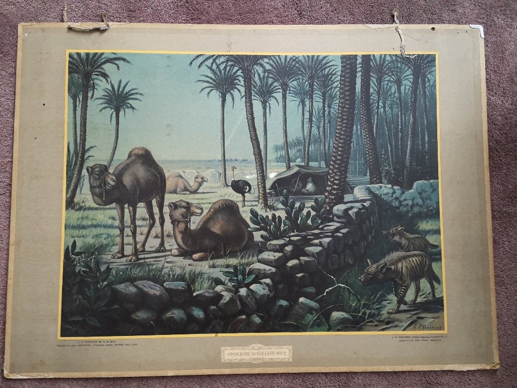 Schoolplaat - Onder de Dadelpalmen - M.A. Koekkoek, Antiek en Kunst, Antiek | Schoolplaten, Ophalen, Natuur en Biologie