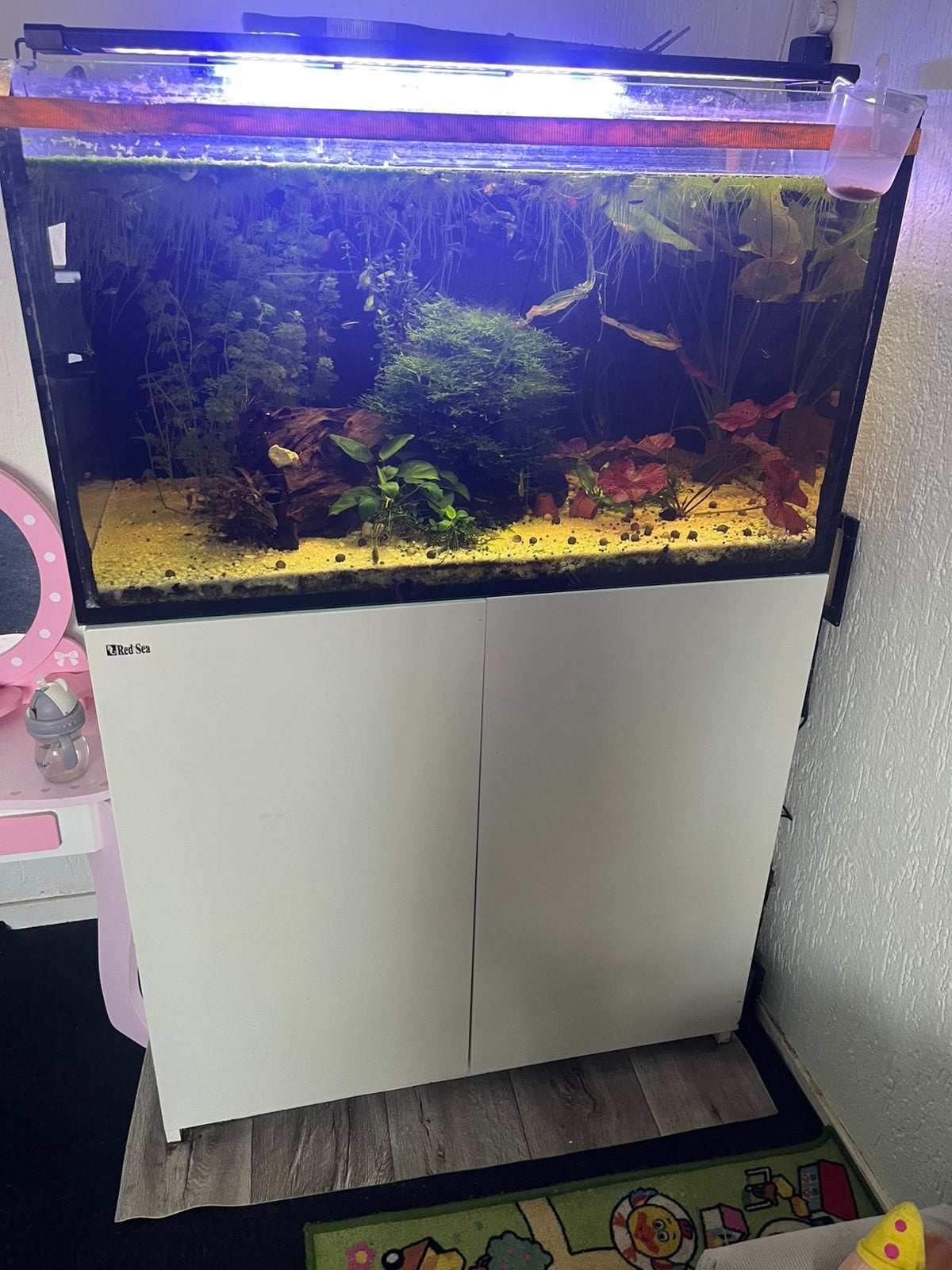 Redsea reefer 250 aquarium, Ophalen, Red Sea, Gevuld zoetwateraquarium, Inclusief vissen