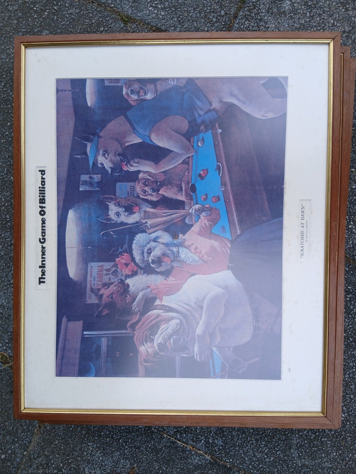 Poster biljart Pool  'The Inner Game Of Billiard' - 48x60 c, 50 – 75, Gebruikt, Ophalen of Verzenden, Print