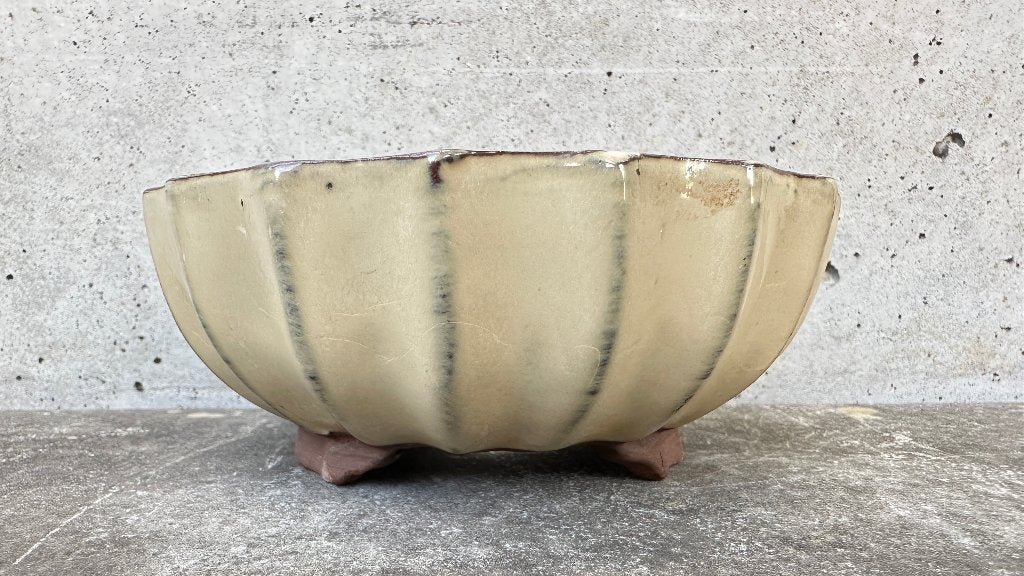Bonsai schaal pot Ø13,5x5,5cm (2*), Ophalen of Verzenden, Zo goed als nieuw, Overige vormen, Aardewerk