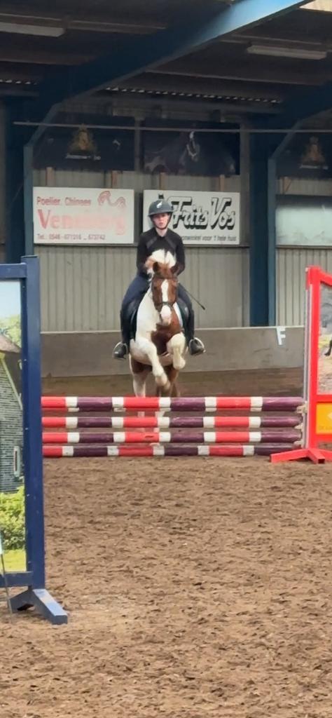 Vezorgpony gezocht! Verzorger/bijrijder aangeboden., Ophalen, Nieuw