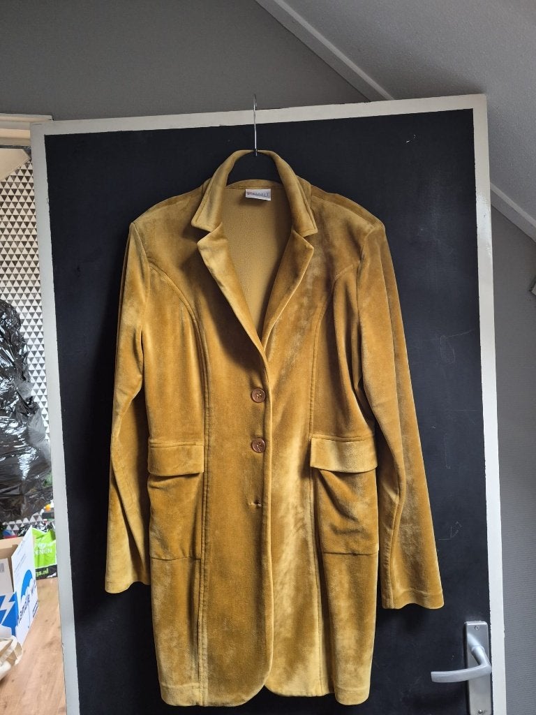 mooie velours lange blazer Helena Hart, Kleding | Dames, Geel, Maat 42/44 (L), Jasje, Gedragen