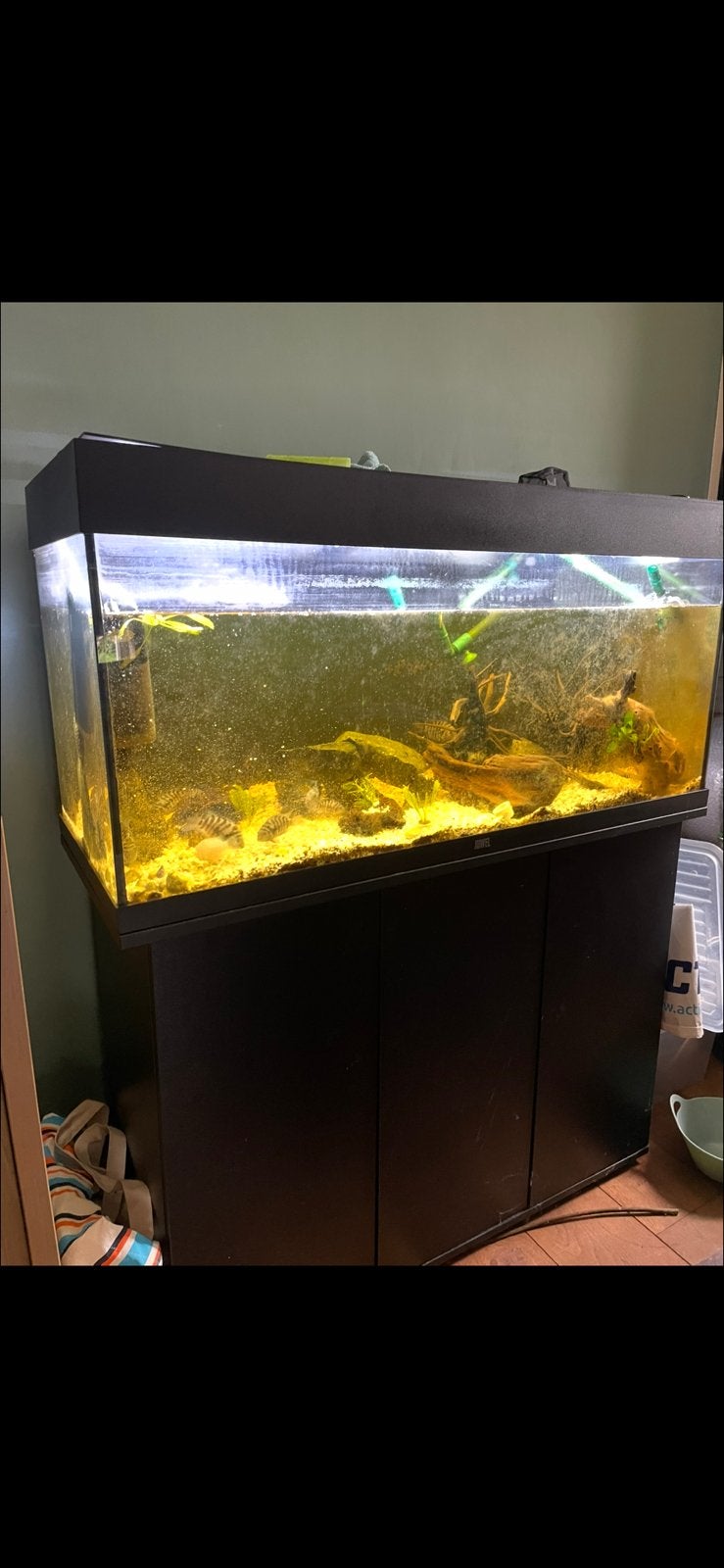 Aquarium 180L.  Met vissen, Dieren en Toebehoren, Ophalen, Zo goed als nieuw, Gevuld zoetwateraquarium